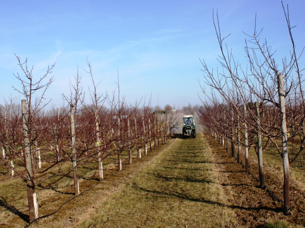 Obstbau