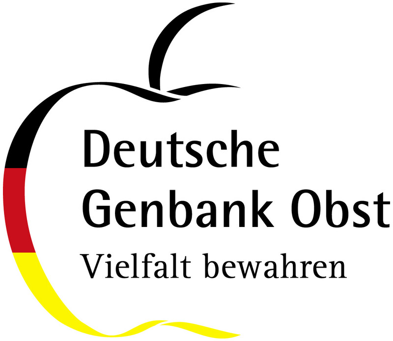 Zu sehen ist das Logo der Deutschen Genbank Obst ein Apfel gezeichnet in den Farben schwarz, rot golt. Darin steht der Schriftzug Vielfalt gewahren. 