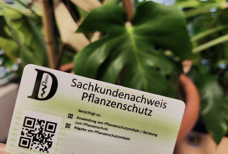 Zu sehen ist das Foto einer Ausweiskarte. Sie berechtigt den Inhaber Pflanzenschutzmittel anzuwenden. Sie trägt den Titel Sachkundenachweis Pflanzenschutz.