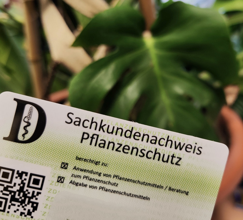 Zu sehen ist das Foto einer Ausweiskarte. Sie berechtigt den Inhaber Pflanzenschutzmittel anzuwenden. Sie trägt den Titel Sachkundenachweis Pflanzenschutz.