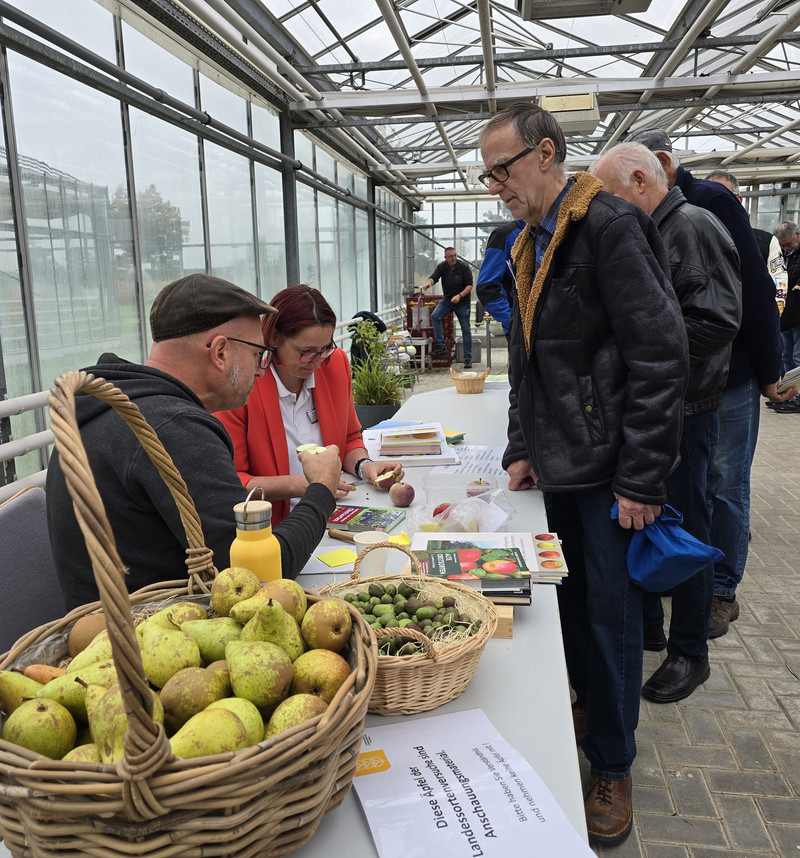 Besucher werden zu Äpfeln beraten
