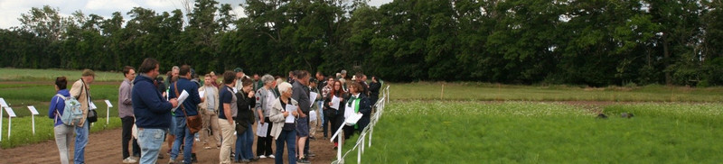 Feldtag Arznei- und Gewürzpflanzen