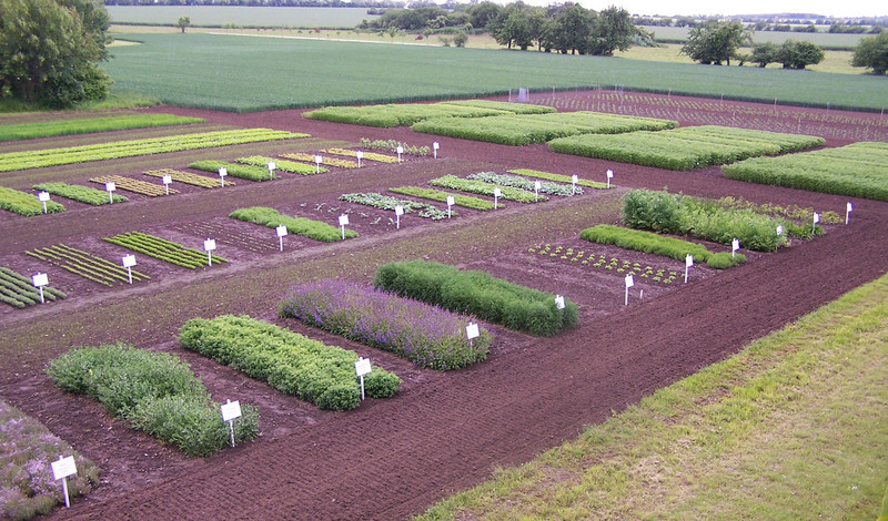 Blick auf den Schaugarten der LLG am Standort Bernburg.